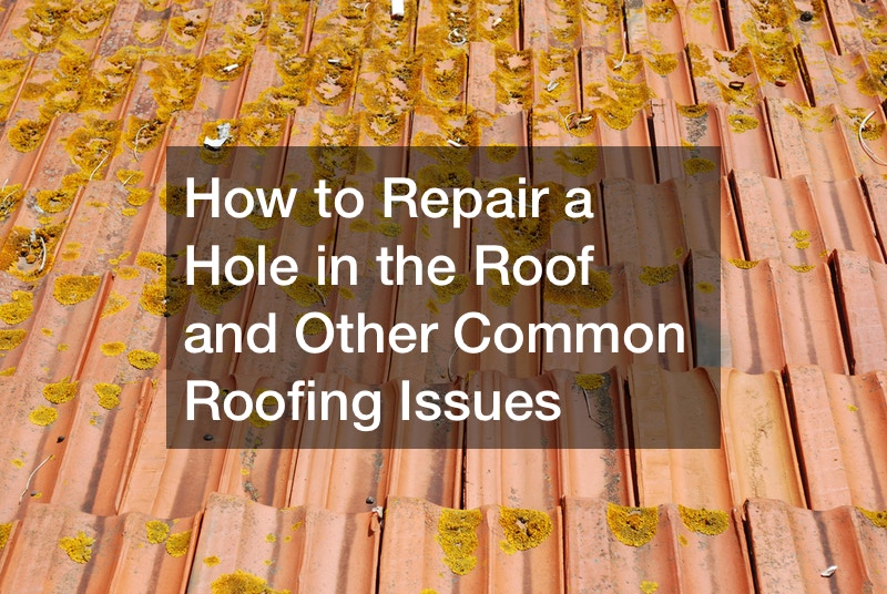 How to Repair a Hole in the Roof and Other Common Roofing Issues ...