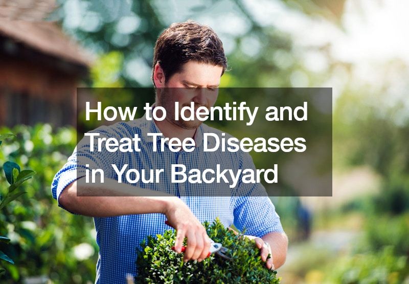 How to Identify and Treat Tree Diseases in Your Backyard - Pruning ...