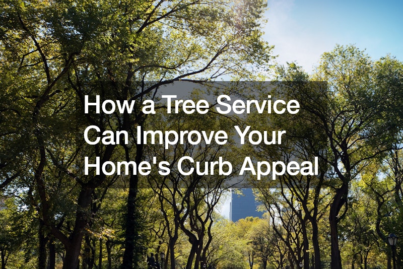 How a Tree Service Can Improve Your Homes Curb Appeal - Pruning Automation