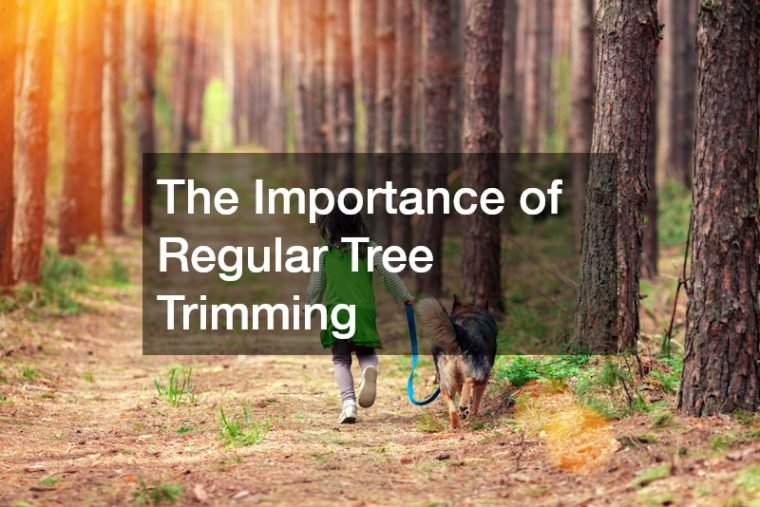 The Importance of Regular Tree Trimming