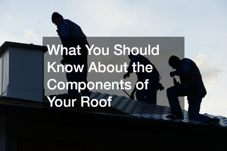 What You Should Know About the Components of Your Roof
